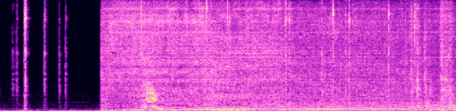 spectrogram of target audio
