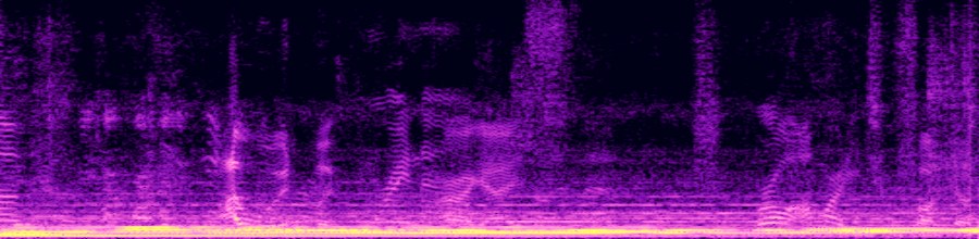 spectrogram of original audio