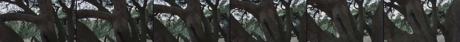 frames of target