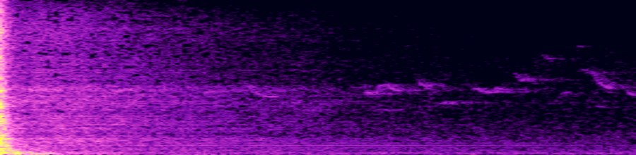 spectrogram of original audio