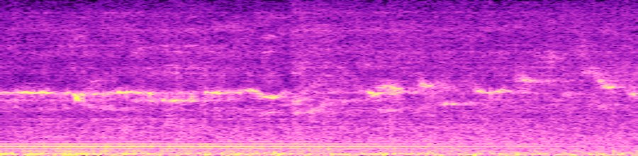 spectrogram of target audio