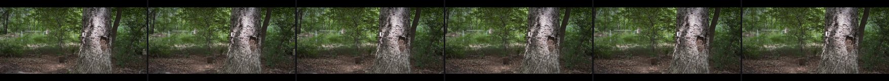 frames of target