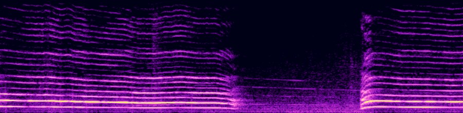 spectrogram of original audio