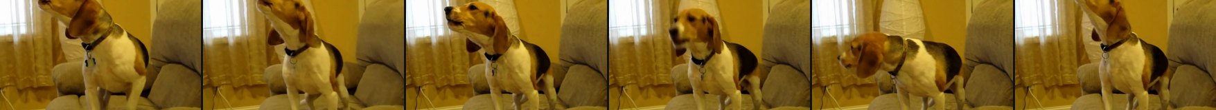 frames of original