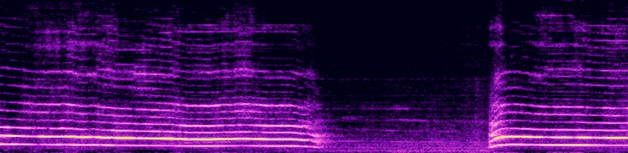 spectrogram of target audio