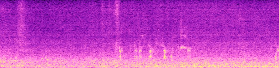 spectrogram of target audio