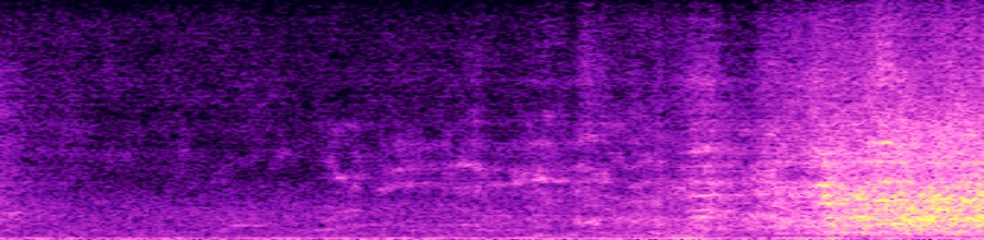 spectrogram of target audio